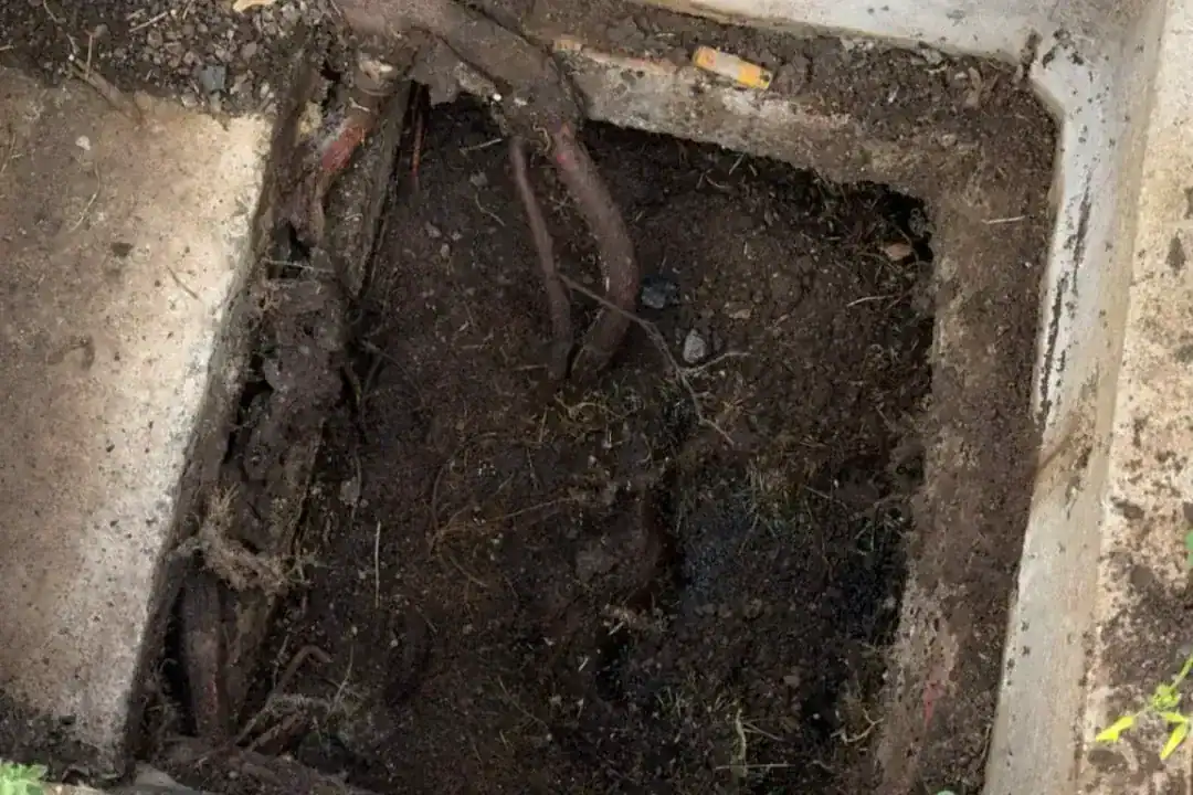 Septic Tank Pump Out Melton