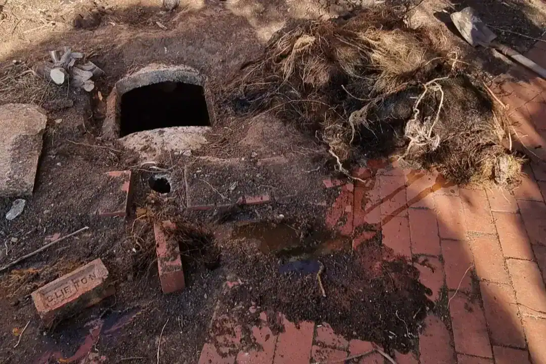 Septic Tank Cleaning Gisborne